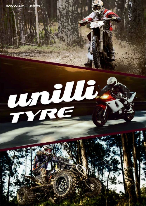 2018 - UNILLI