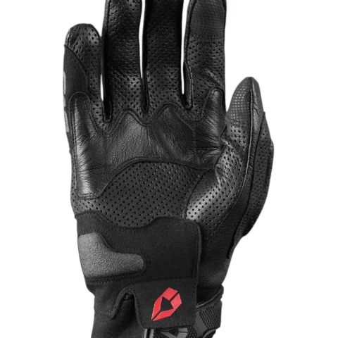 evs_nyc_black_palm