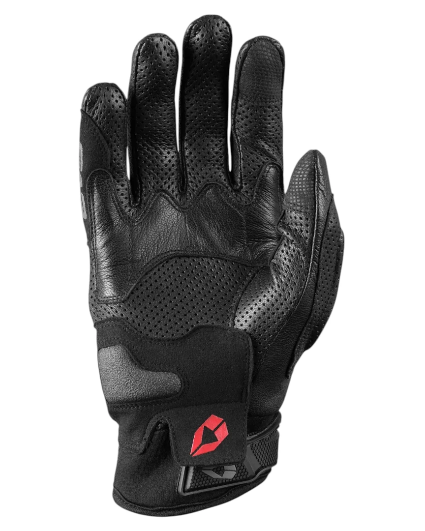 evs_nyc_black_palm